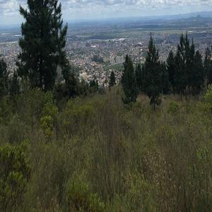 欧美一区二区A片视频
